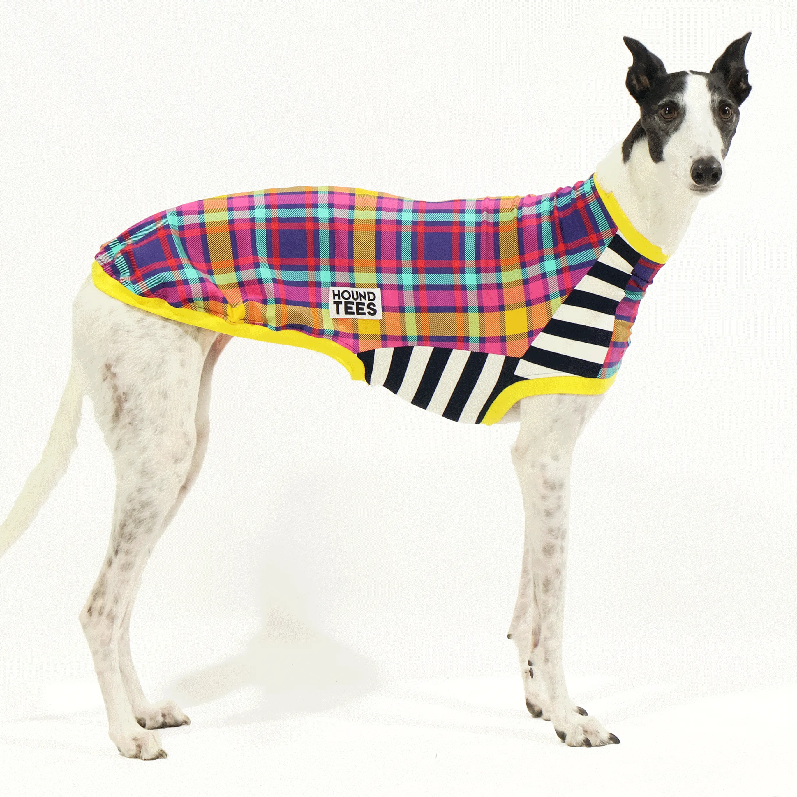 Clueless Greyhound Sleeveless Hound-Tee