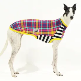 Clueless Greyhound Sleeveless Hound-Tee
