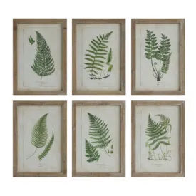 Fern Art Framed assorted  6 styles